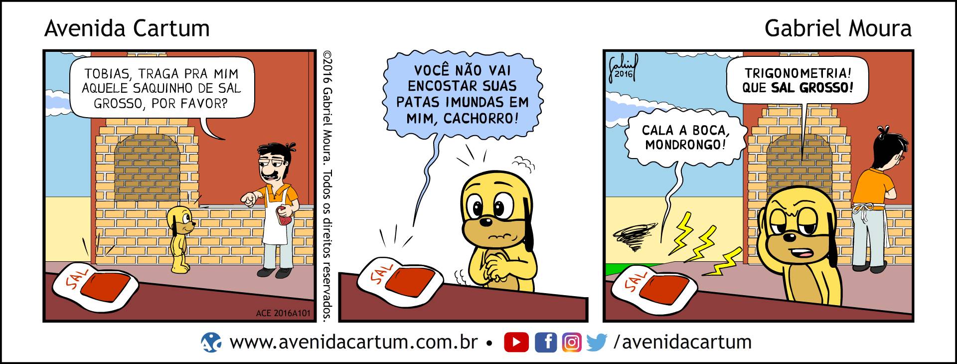 Sal Grosso Para o Churrasco: Histórias em Quadrinhos Infantis - Avenida Cartum